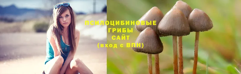 Галлюциногенные грибы Cubensis  купить наркоту  Прокопьевск 